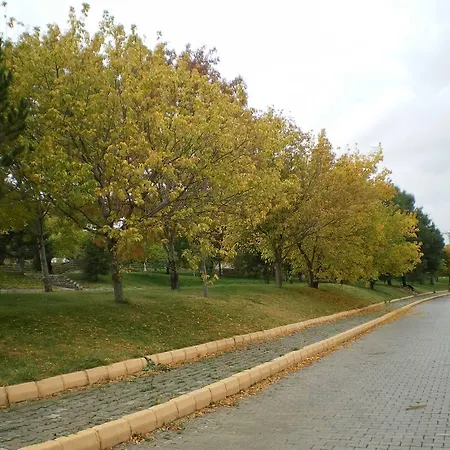 Omer Thermal