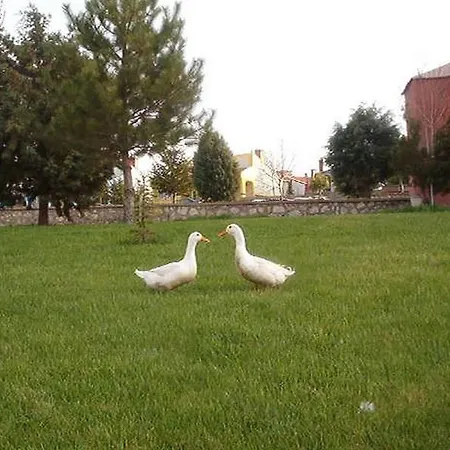 Hotel Omer Thermal Afyonkarahisar